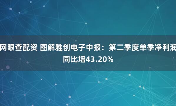 网眼查配资 图解雅创电子中报：第二季度单季净利润同比增43.20%