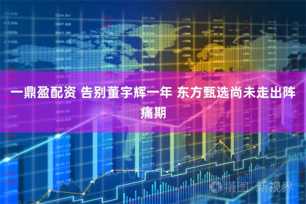 一鼎盈配资 告别董宇辉一年 东方甄选尚未走出阵痛期
