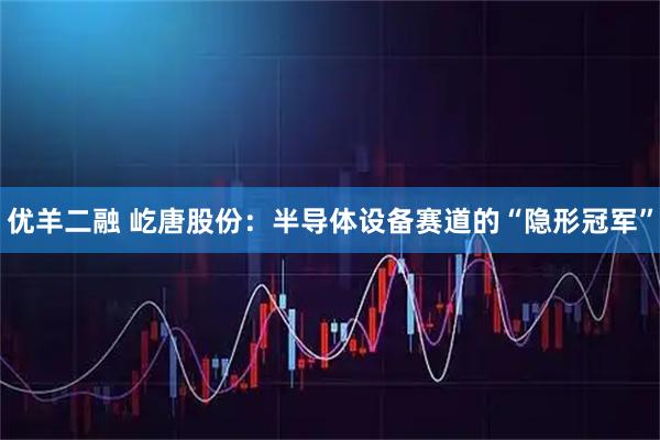 优羊二融 屹唐股份：半导体设备赛道的“隐形冠军”